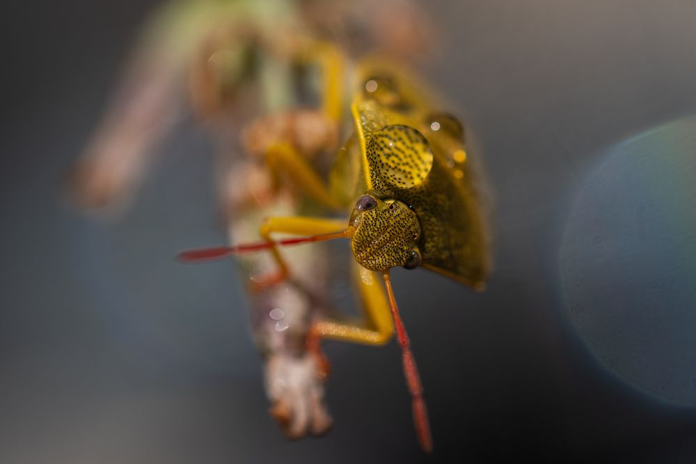 Photograph by Татьяна Эрбутаева