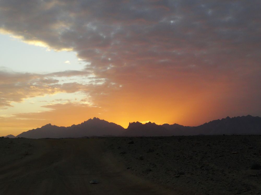 Photograph by Светлана Выдрова