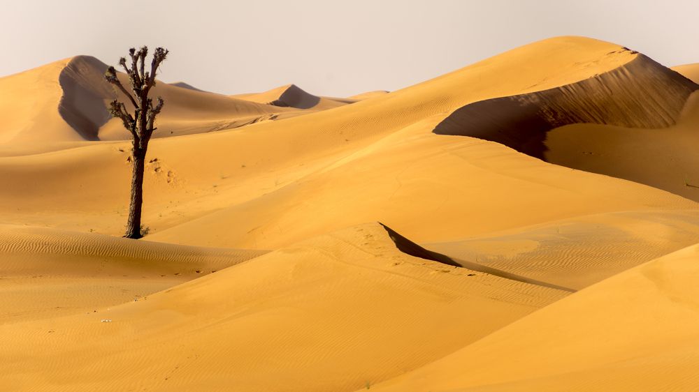 Photograph by Гребенников Сергей