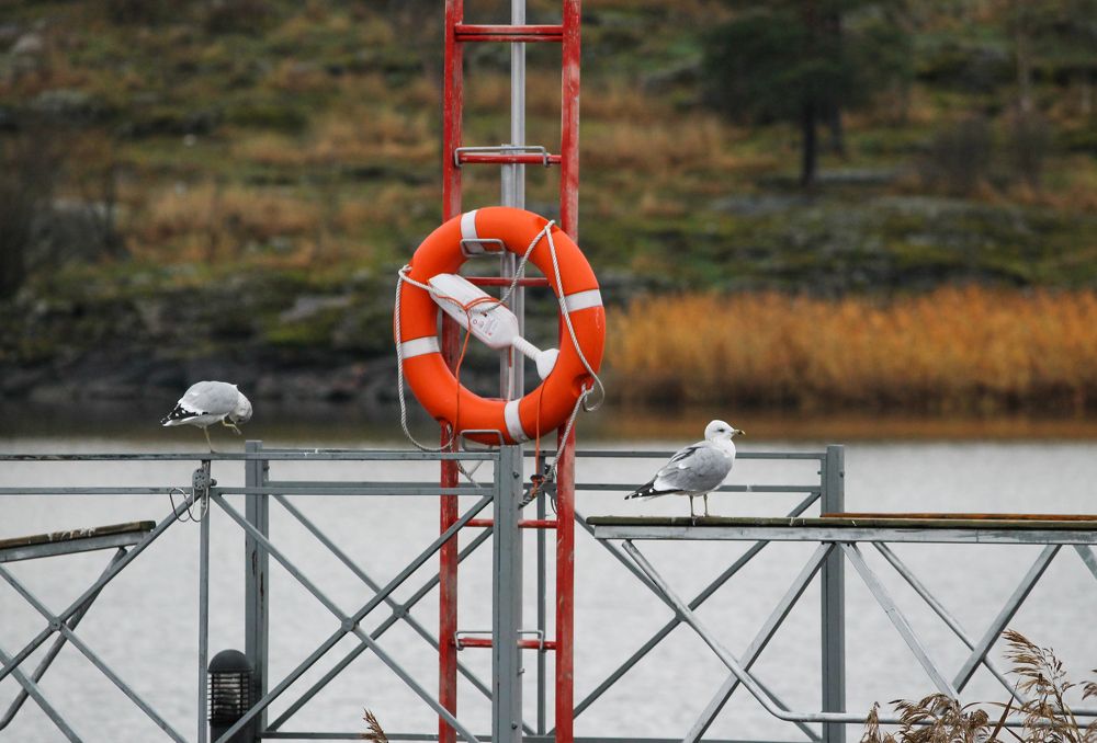 Photograph by Полина Веселова