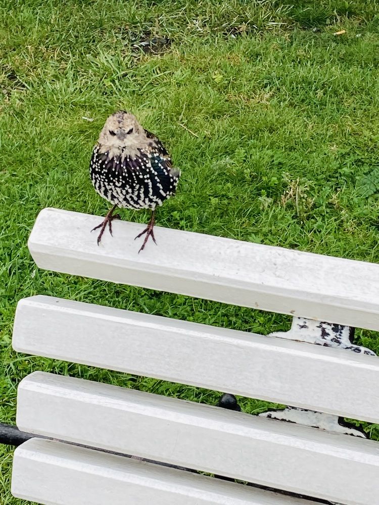 Photograph by Светлана Выдрова