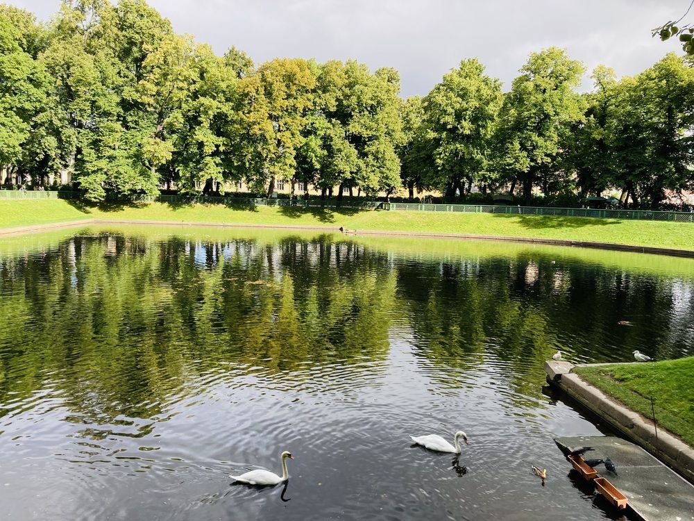 Фотография автора Светлана Выдрова