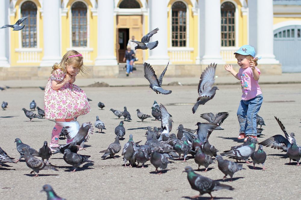 Photograph by Михаил Семенов