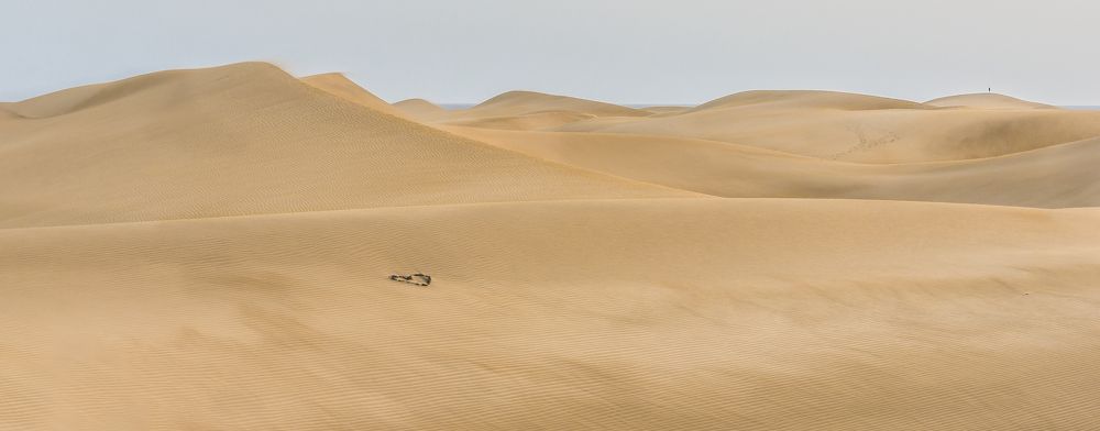 Photograph by Гребенников Сергей