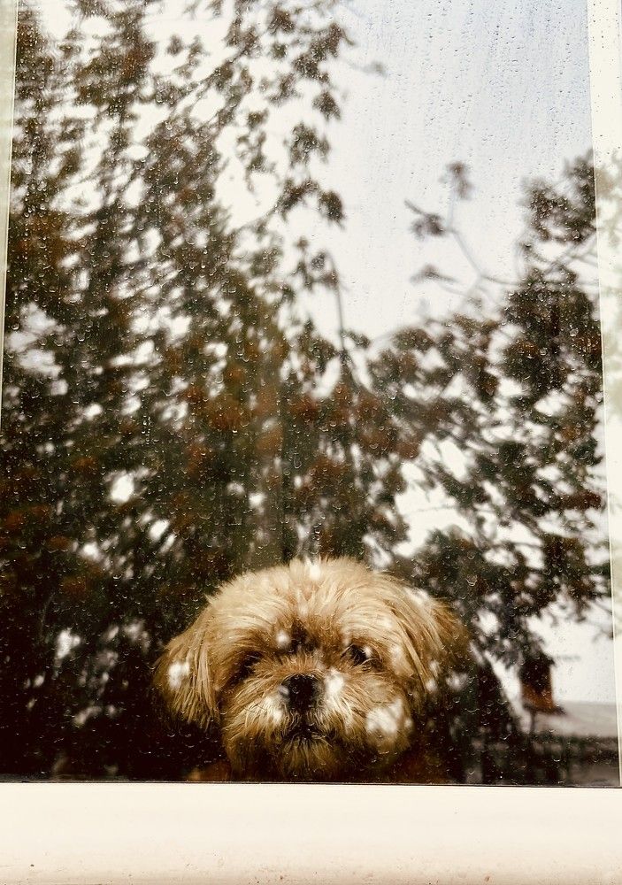 Photograph by Лариса Кузнецова