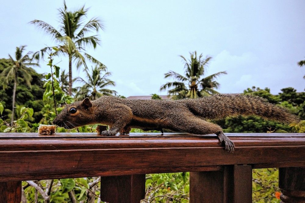 Photograph by Iuliia Akhulkova