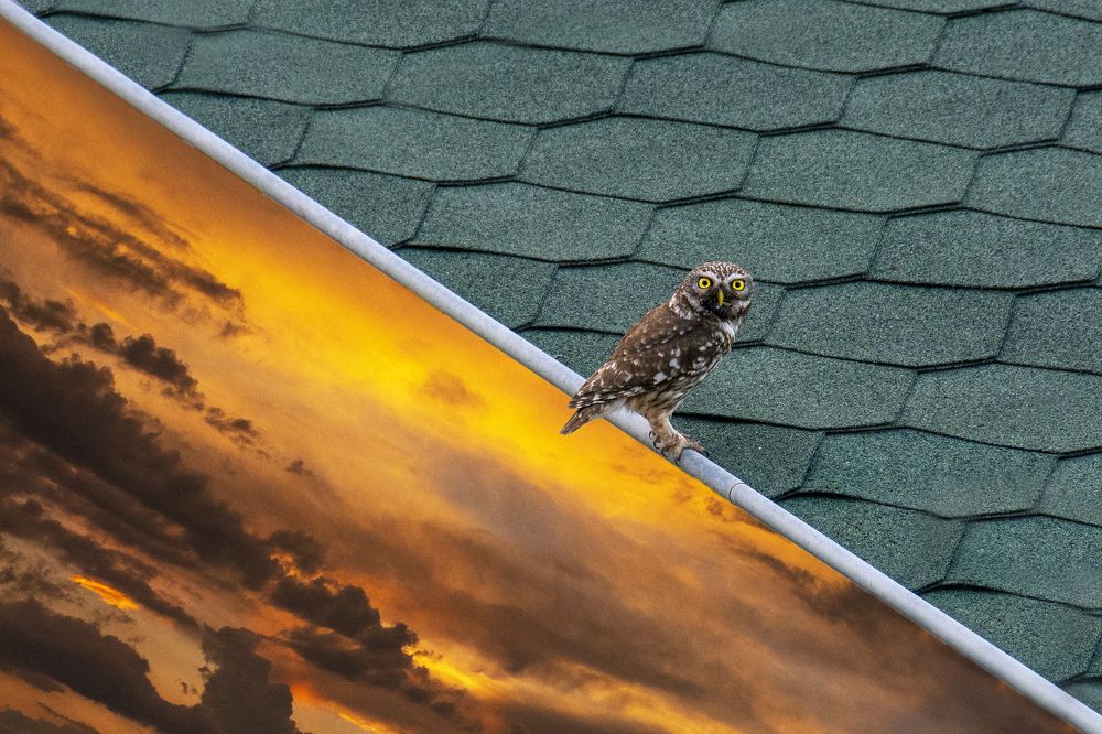 Photograph by Nikolai Barchan