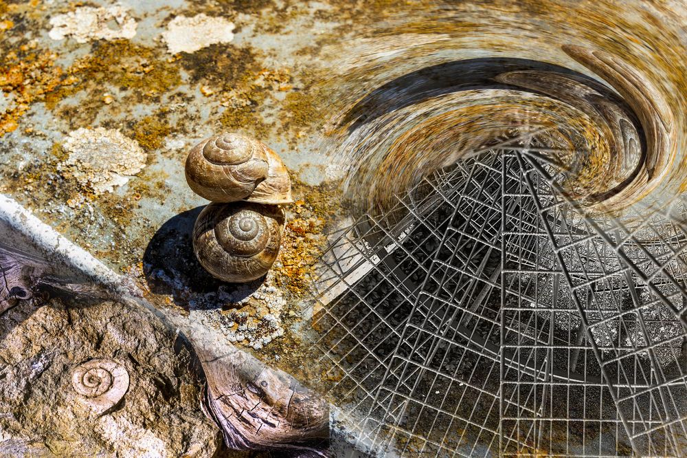 Photograph by Nikolai Barchan