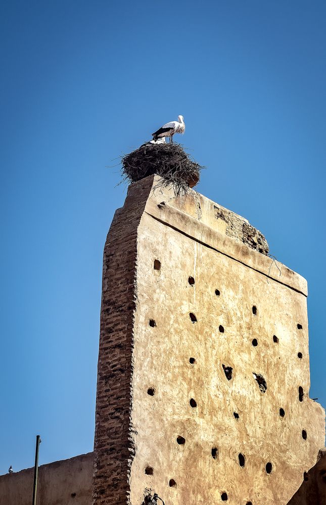 Фотография автора Straand2614