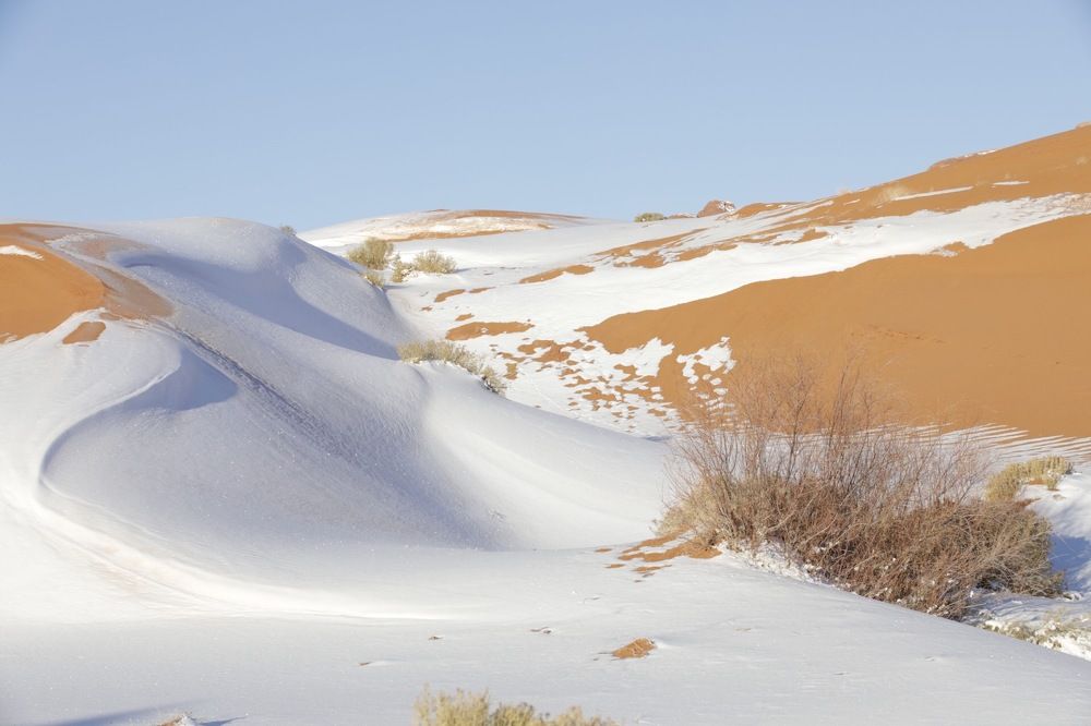 Photograph by Ольга Одаренко