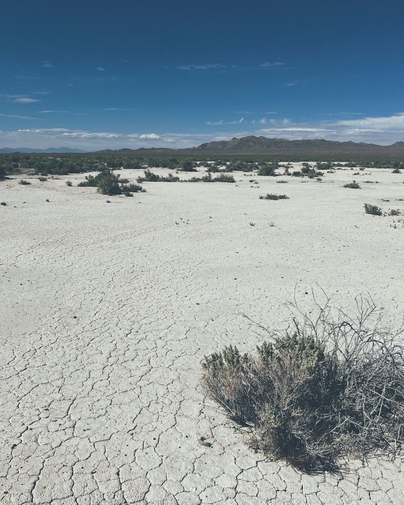 Photograph by Yuliya Trints