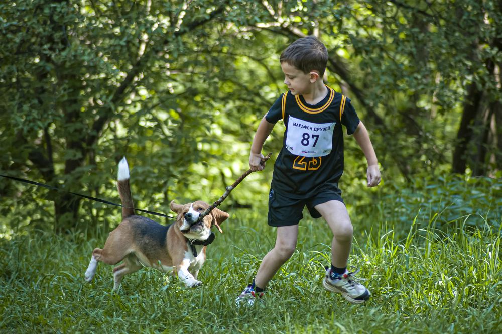 Photograph by Никита