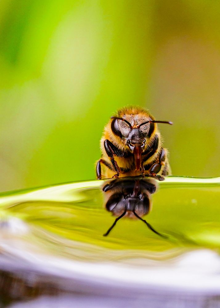 Photograph by kamran shirani