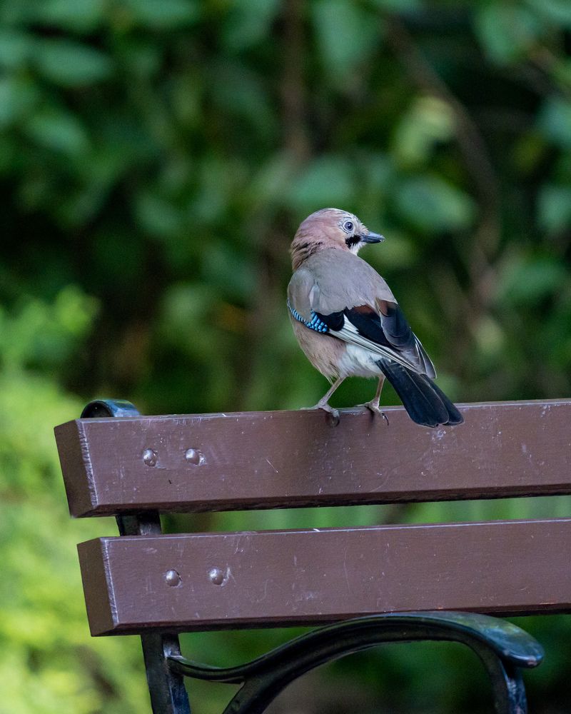 Photograph by Anton Leonchikov