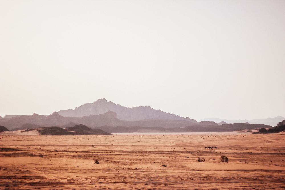 Photograph by Артем Серебряный