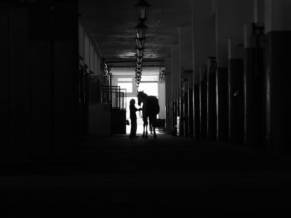 Фотография автора Боков Дмитрий