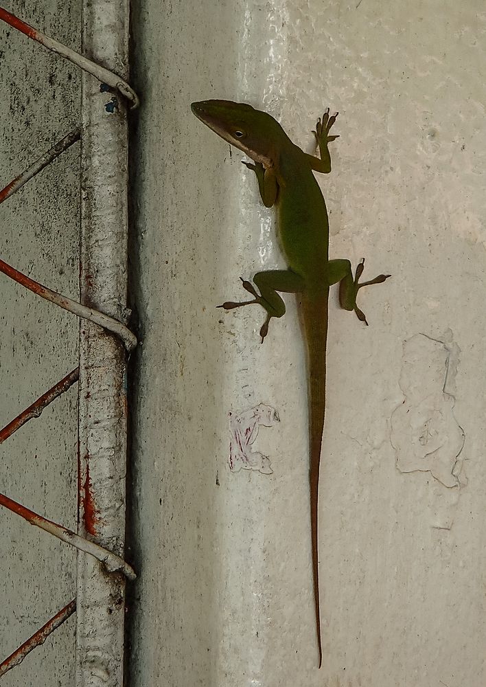 Photograph by Евгений Гонтов