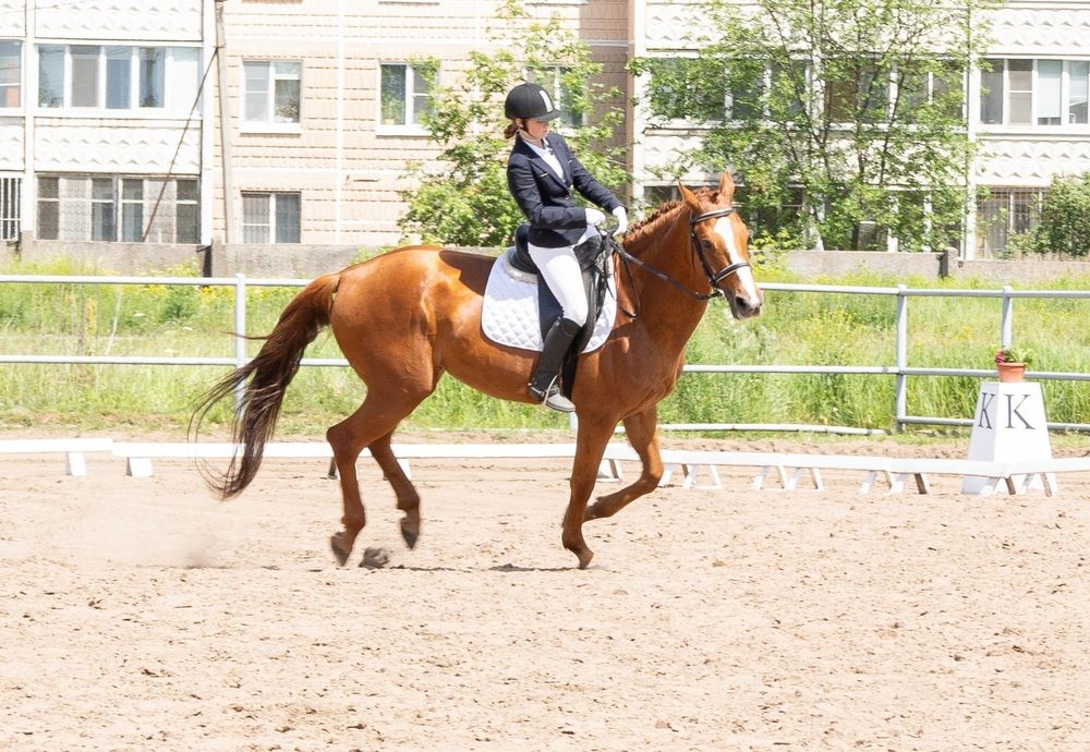 Photograph by Oksana Sabeleva