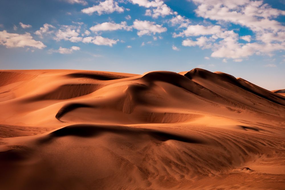 Photograph by Dalia Farid