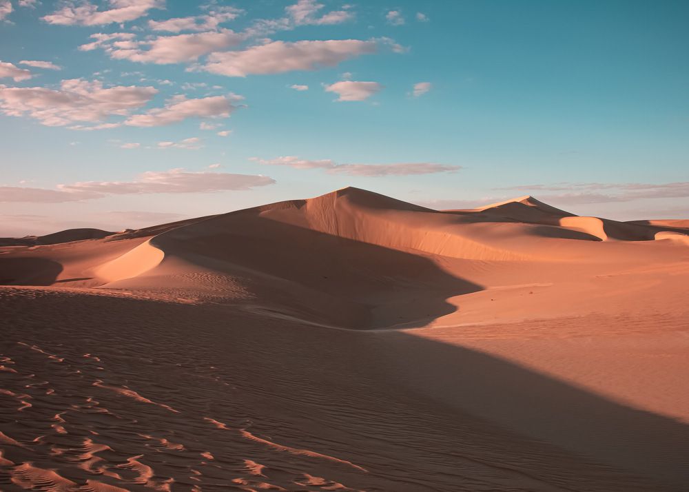 Photograph by Dalia Farid