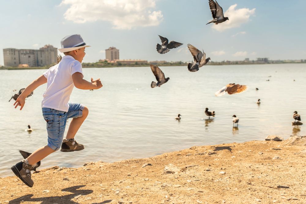 Photograph by Елена Володина