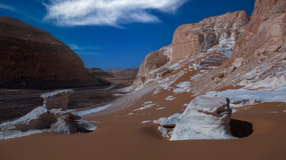 Photograph by Dalia Farid