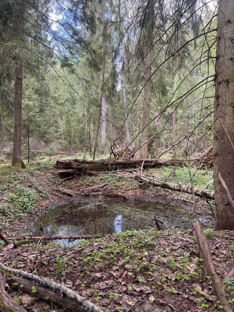 Фотография автора Илья