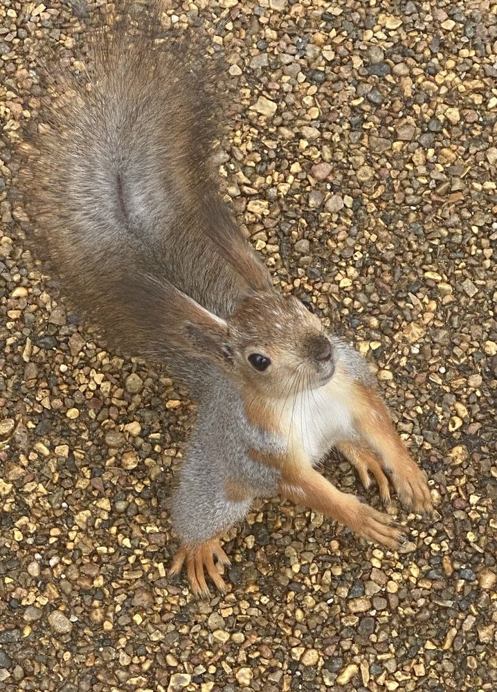 Фотография автора Илья