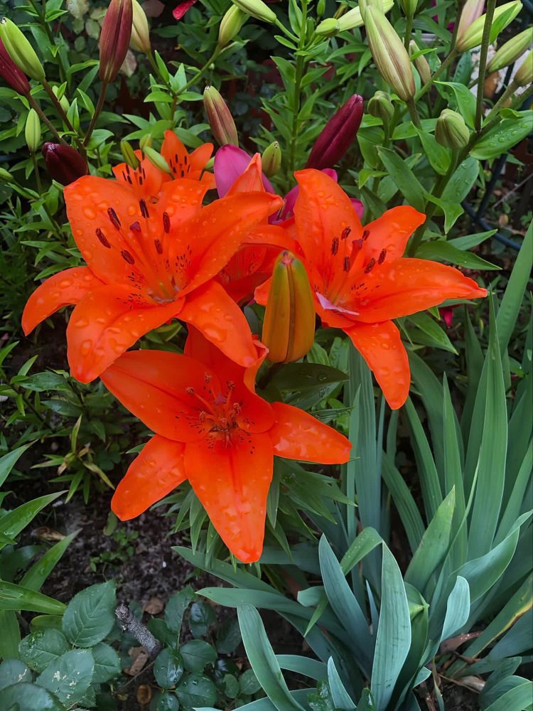 Фотография автора Илья