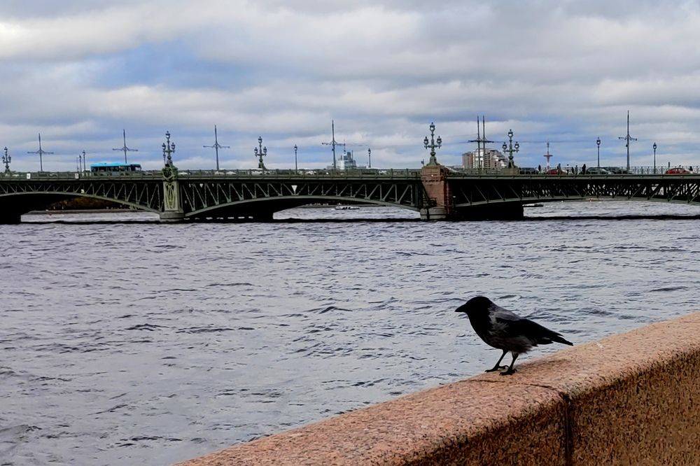 Photograph by Ольга Темкина