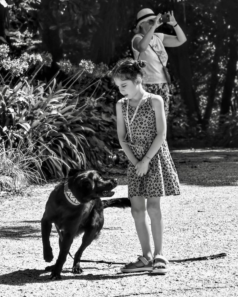 Photograph by Balcetis Audrius