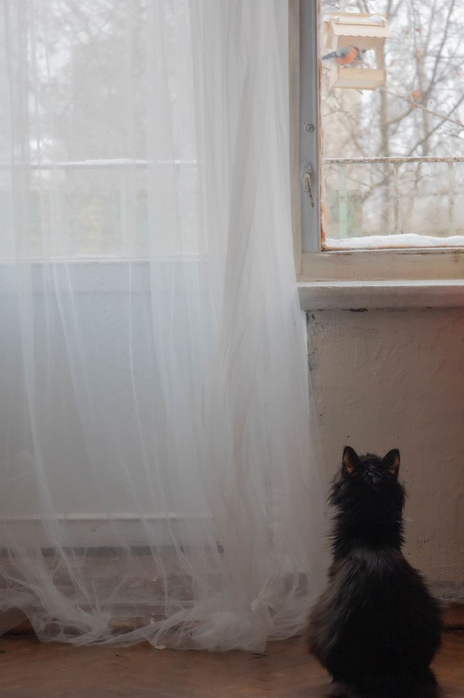 Photograph by Елена Можар