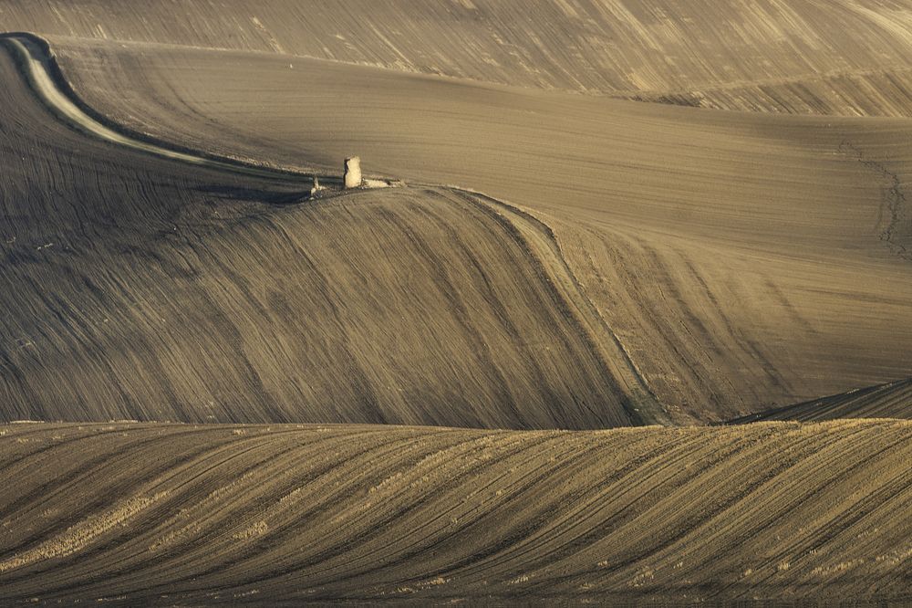 Photograph by dario camasso