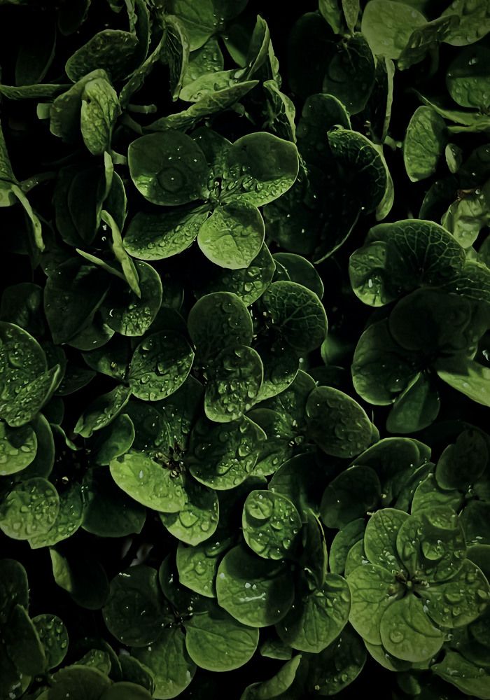 Photograph by Олеся Королева