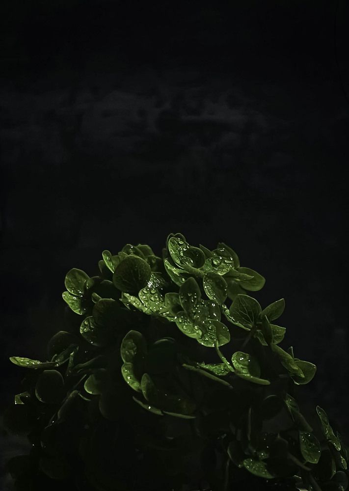 Photograph by Олеся Королева