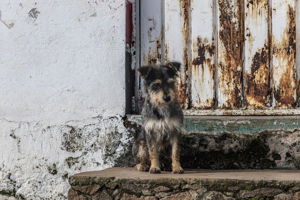 Photograph by Joaquin Silva