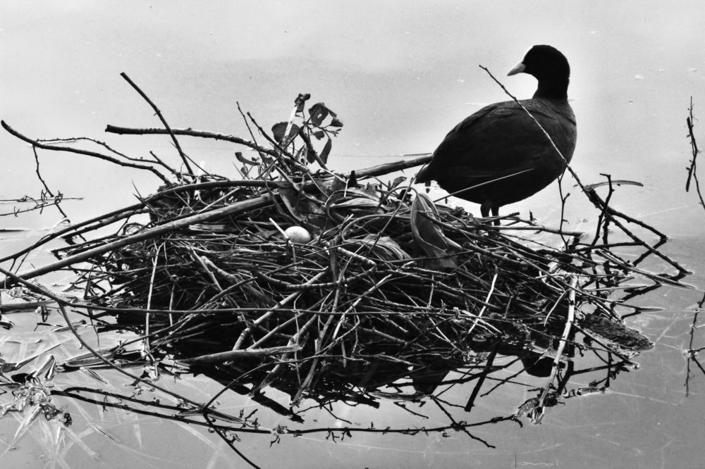 Photograph by Луценко Роман