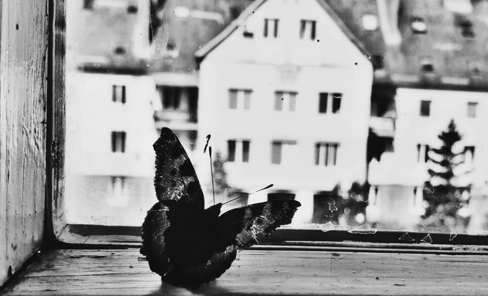 Photograph by Луценко Роман