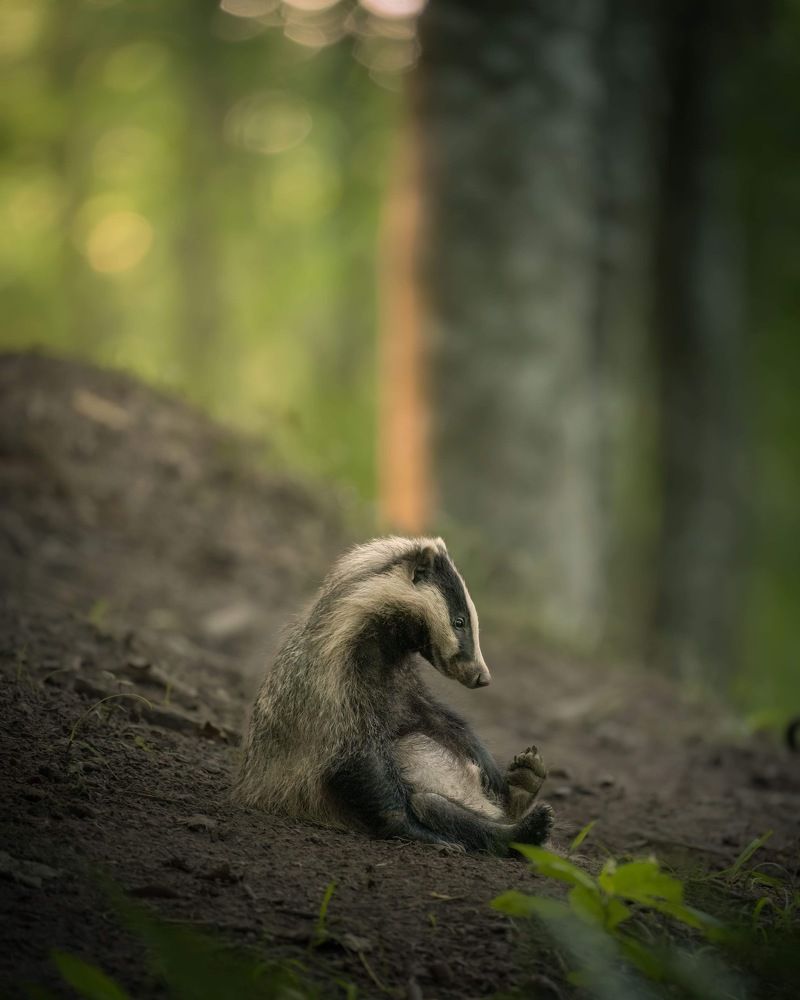 Photograph by Lukas Andree Andersen