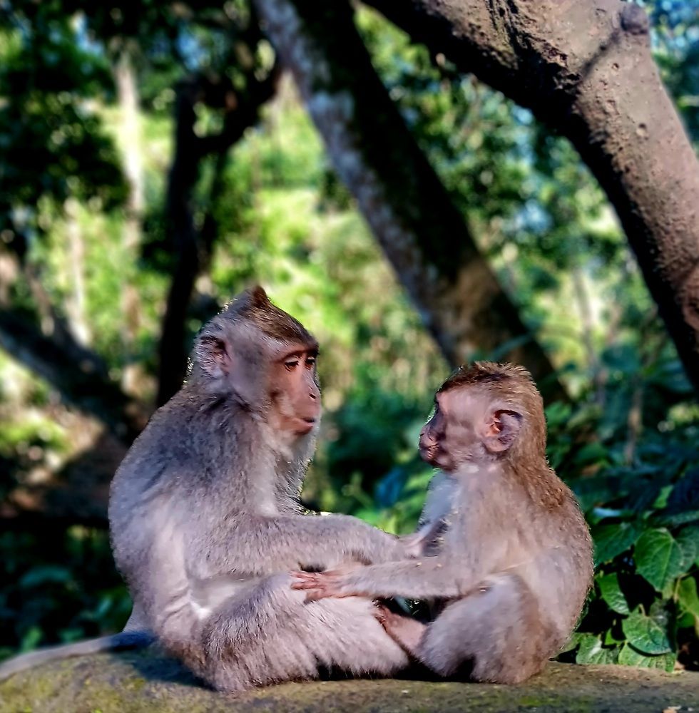 Mother&son