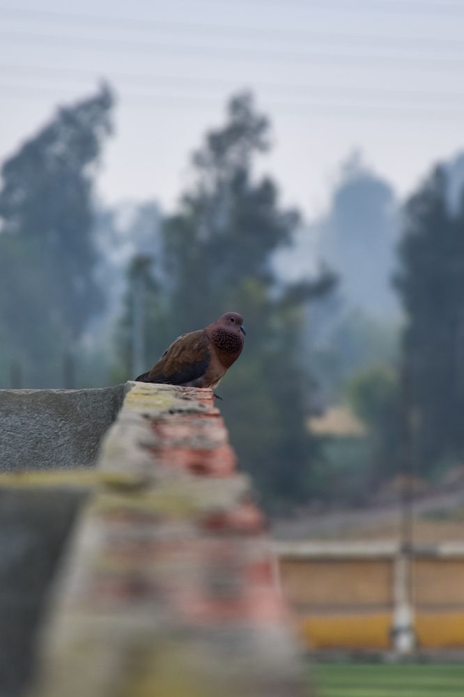 Photograph by Bassant Mohamed Salama