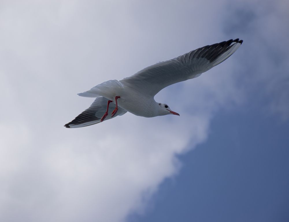 Photograph by Bassant Mohamed Salama