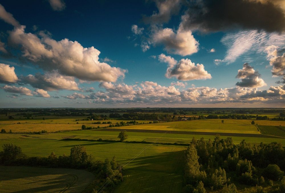 Фотография автора Марис Анкевицс