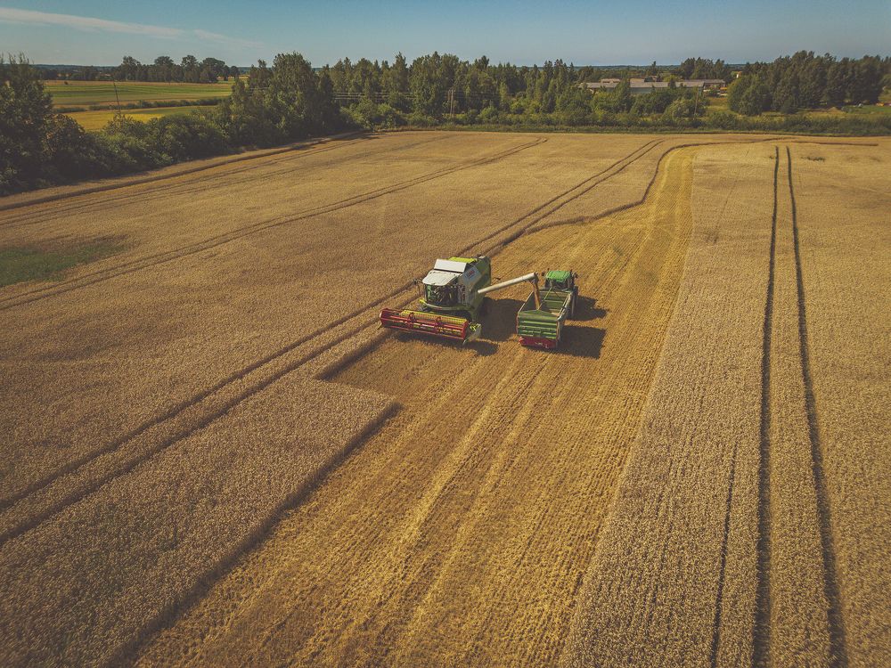 Фотография автора Марис Анкевицс
