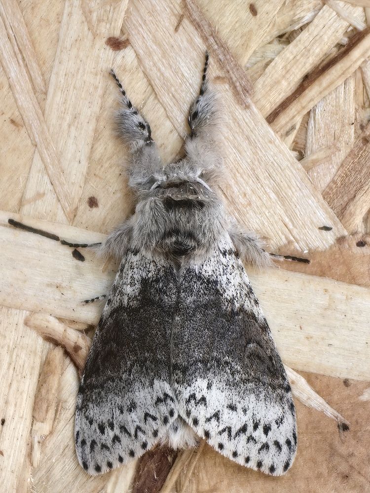 Photograph by Виолетта Беккер