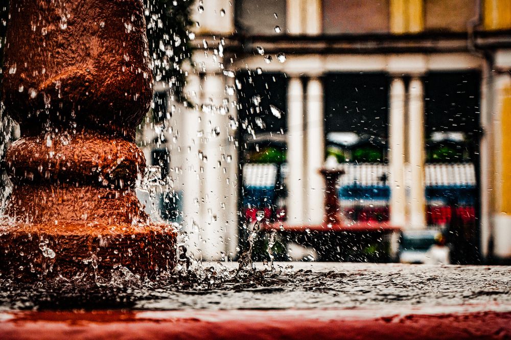 Photograph by Владимир Сушкин