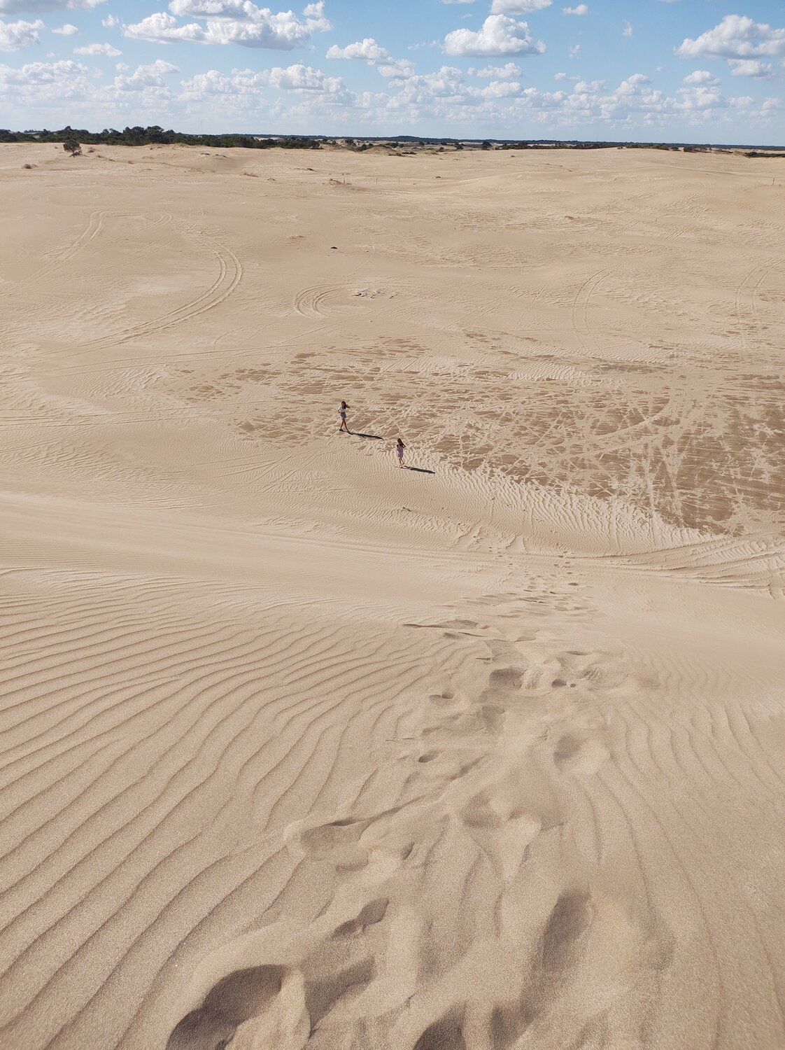 Photo #10861611