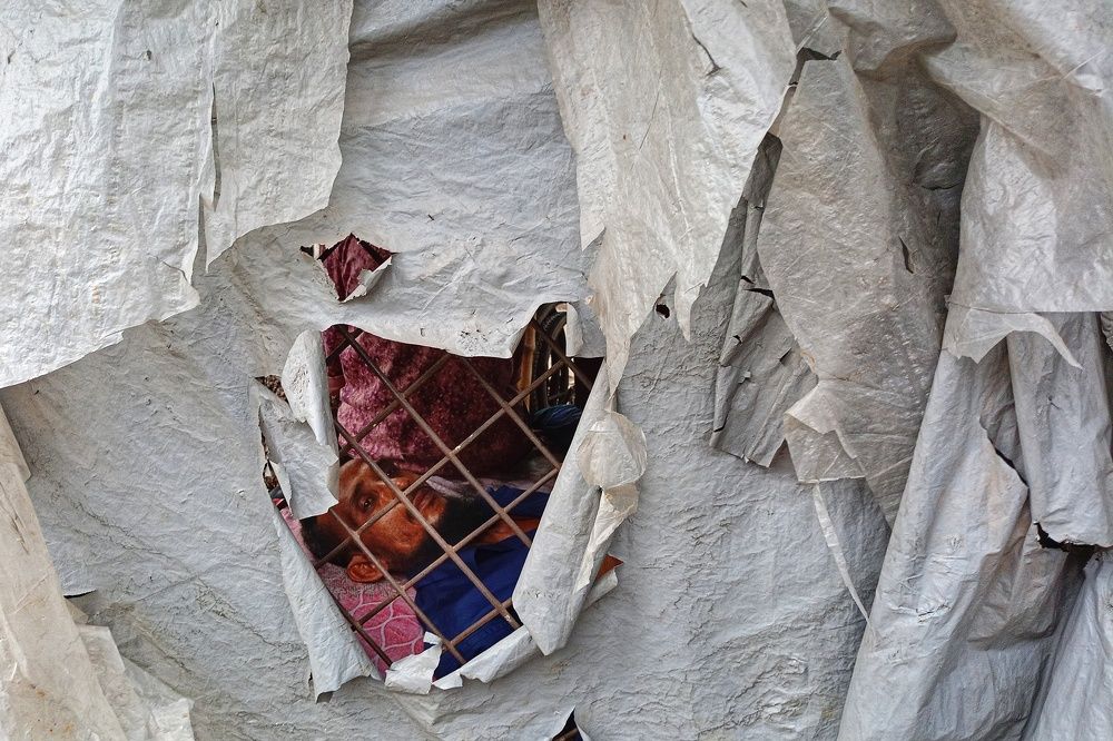 Contemplation in the Shadows