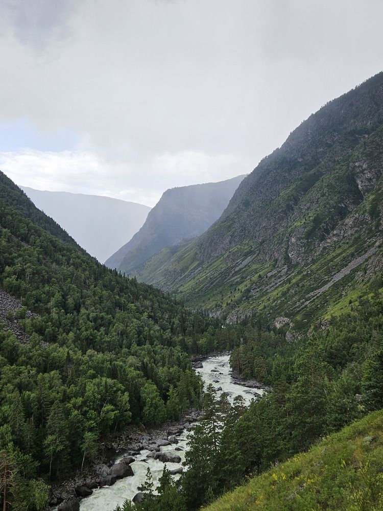 Фотография автора Регина Цыганова