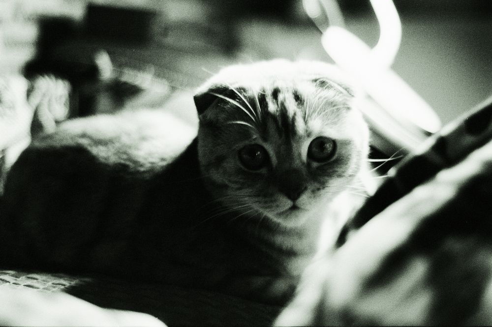 Photograph by Алексей Сидоров